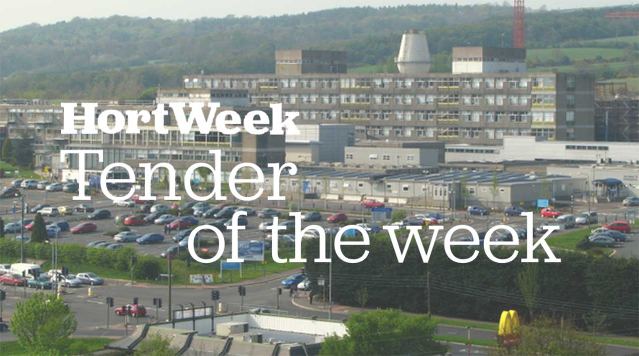 Ulster Hospital - tender of the week